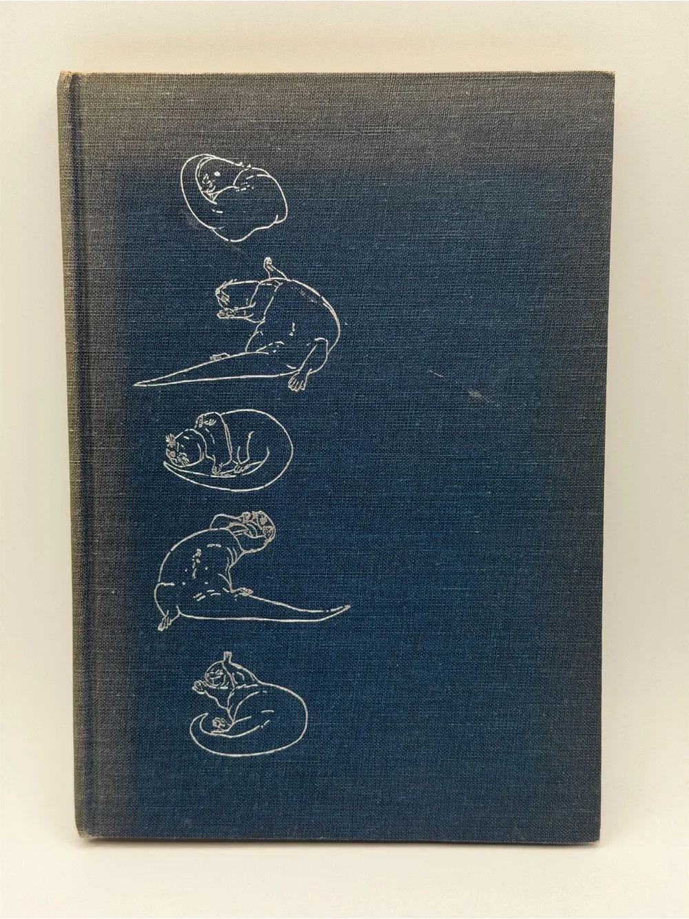 The Otter's Tale by Gavin Maxwell (Hardcover Book, 1962) First Edition